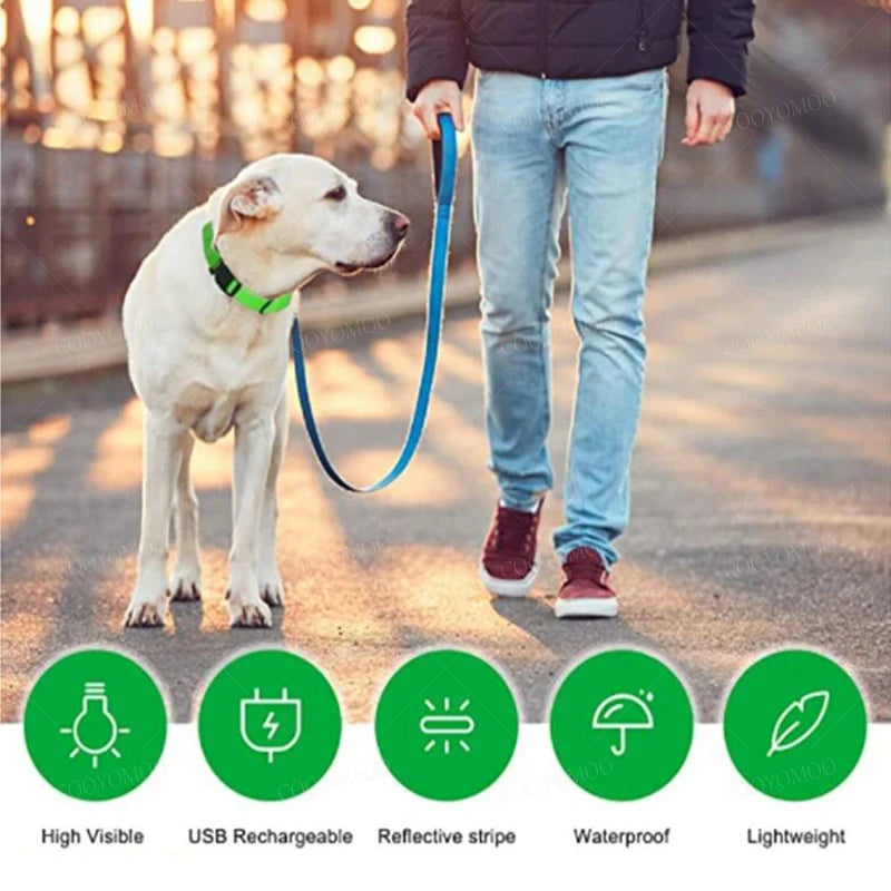 3 Modes Dog Luminous Charge Collar Led