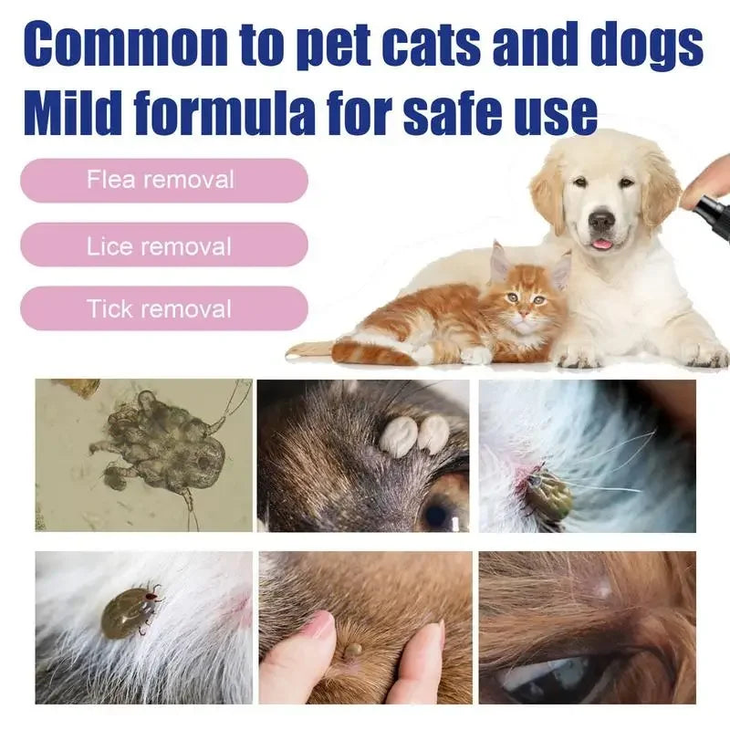 100ml Pet Dog Cat Anti Flea Drops Insectcide Flea Lice Insect Prevent Ticks