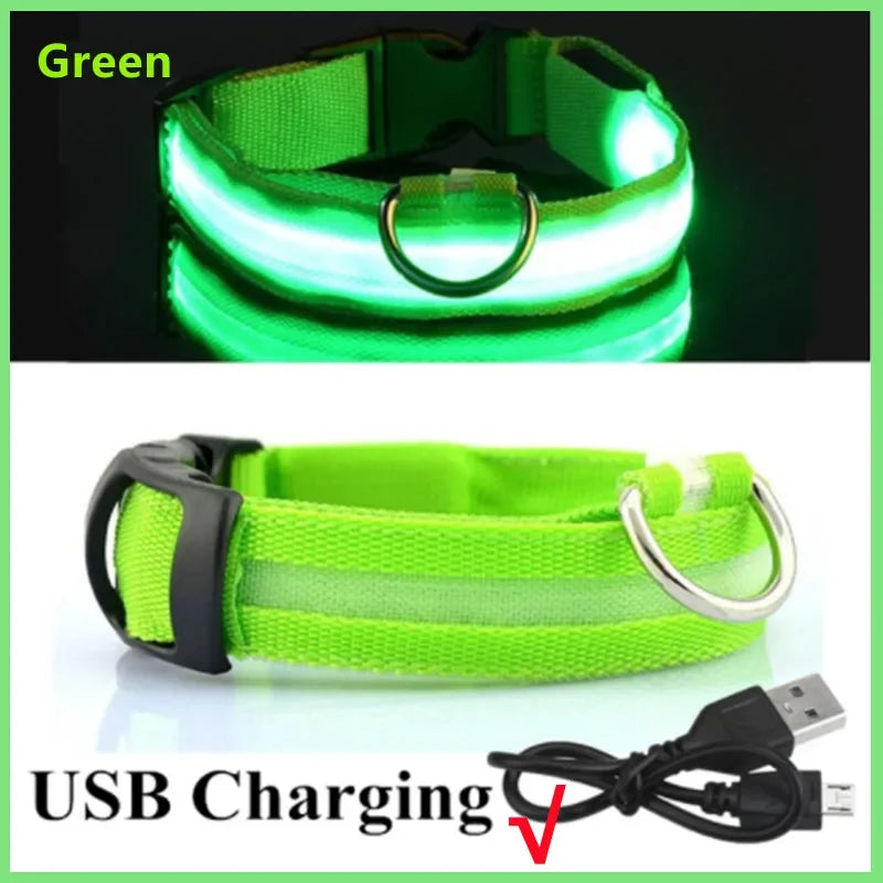 3 Modes Dog Luminous Charge Collar Led