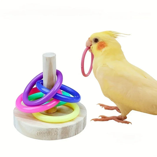 Wooden Interactive Parrot Ring Toy