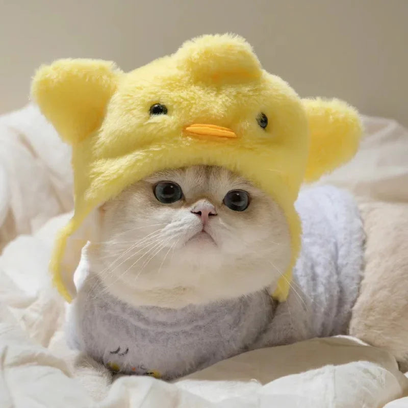 Funny Cat Headgear