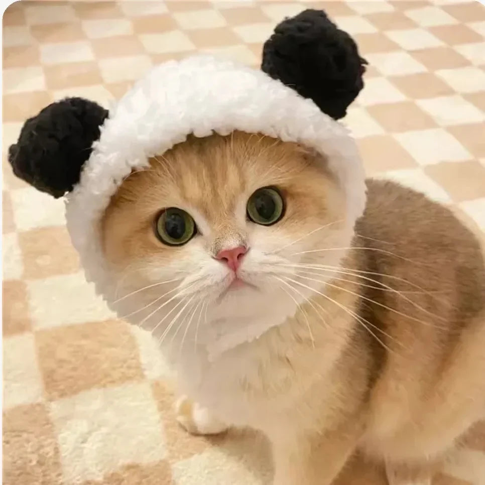 Funny Cat Headgear