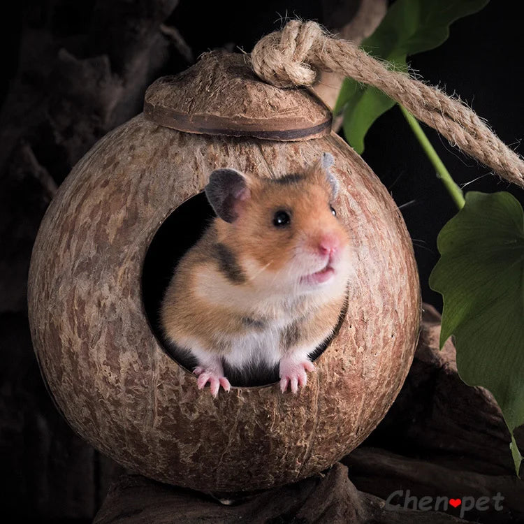 Natural Small Pet Coconut Cages for Hamster Guinea Pig Mice Squirrel