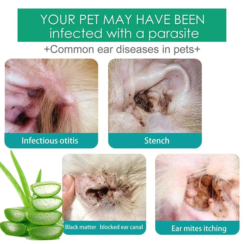 Pet Ear Drops Yeast Mites Infectiones Control Odor Removal Relieves Itching Anti Inflammatory