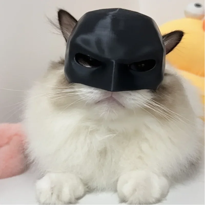 Cat Mask Black Bat