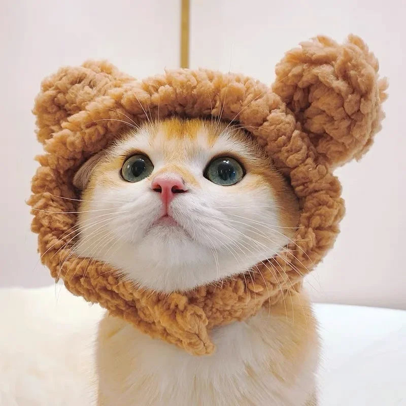 Funny Cat Headgear