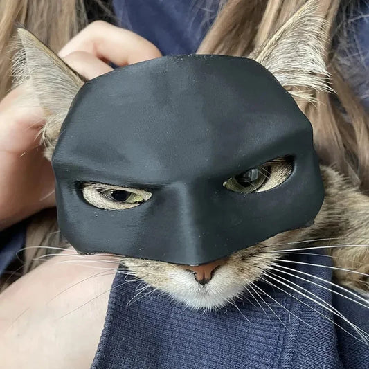 Cat Mask Black Bat