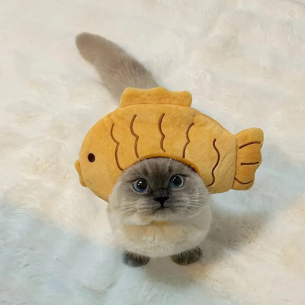 Funny Cat Headgear