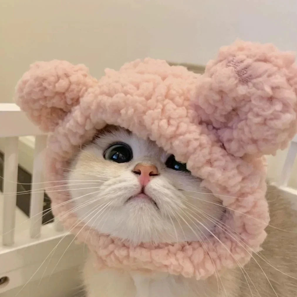 Funny Cat Headgear