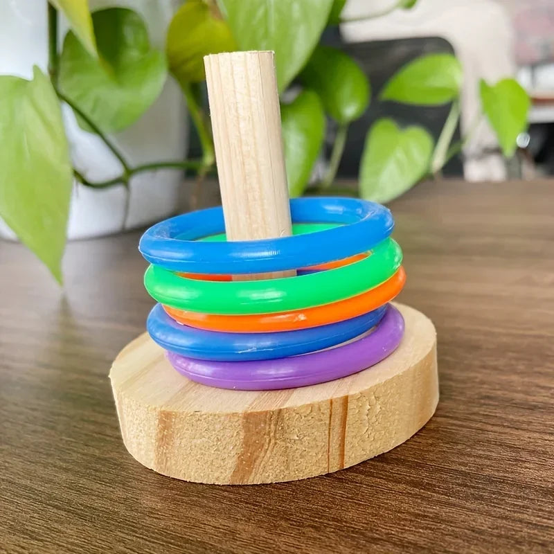 Wooden Interactive Parrot Ring Toy