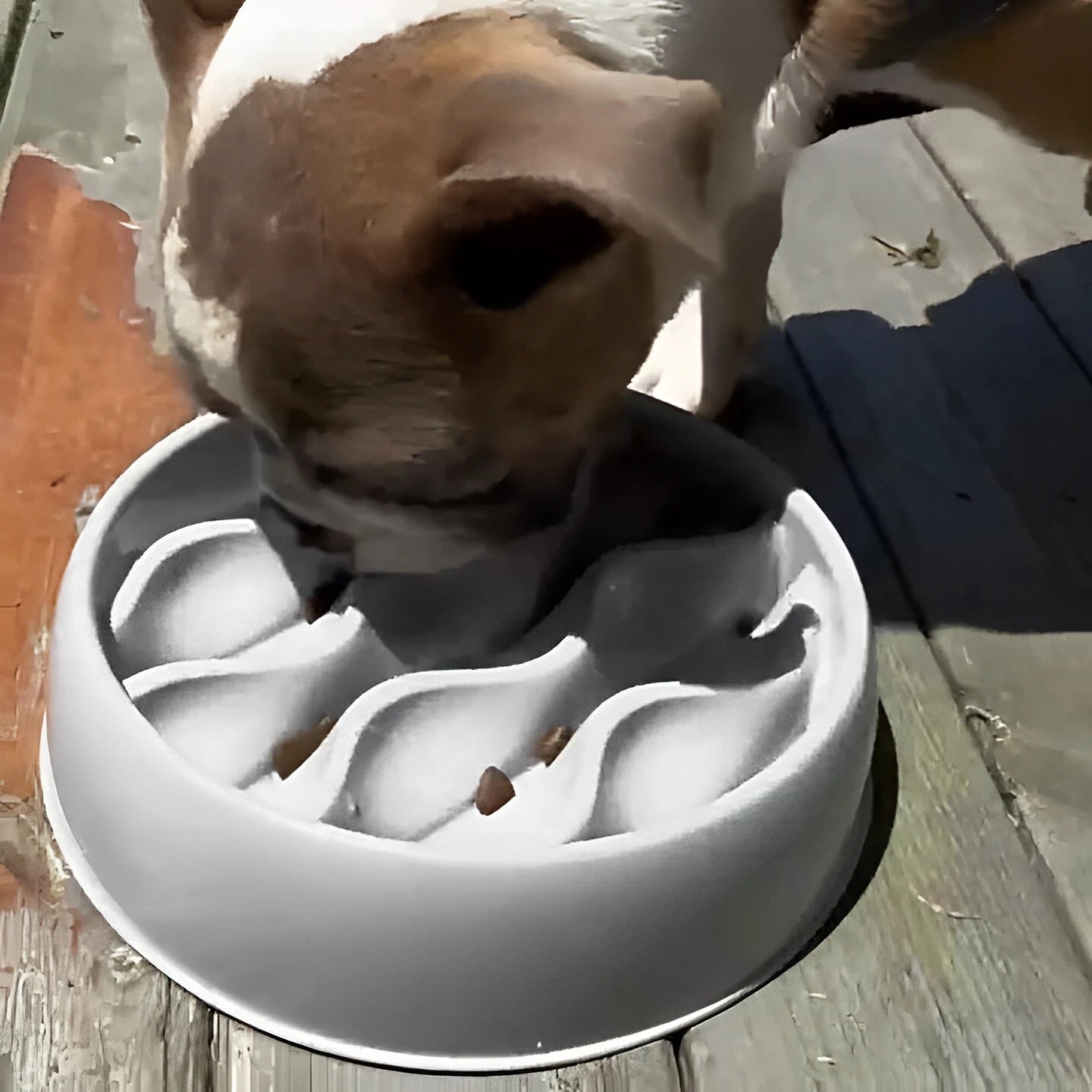 Pet Slow Feeding Bowl